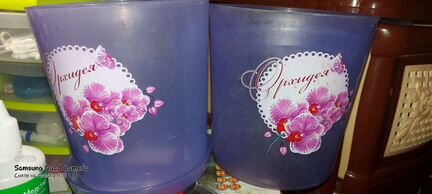 Горшочке для орхидеи