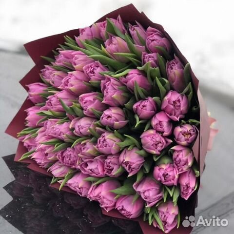 Цветы тюльпаны