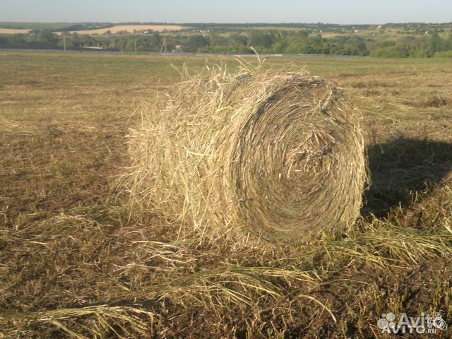 Солома в рулонах и мешках