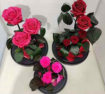 Купить цветы оптом омске дешево доставка цветов в самаре недорого бесплатная доставка