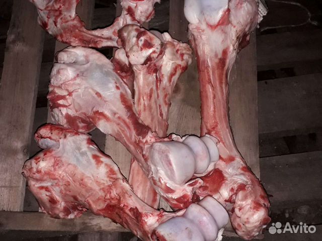 Кости скотские