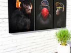 Картины на холсте обезьяны, Нижний Новгород объявление продам
