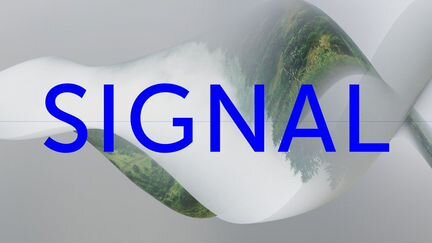Signal/18-21августа/Standart
