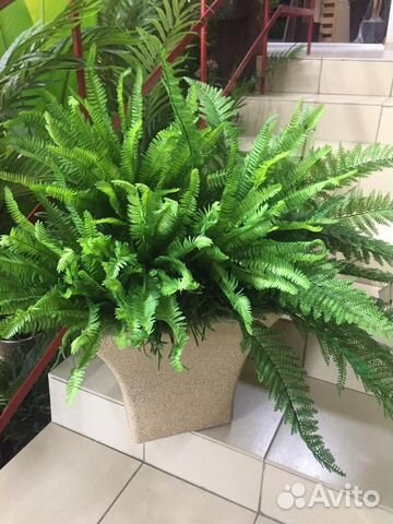 Вазоны для цветов