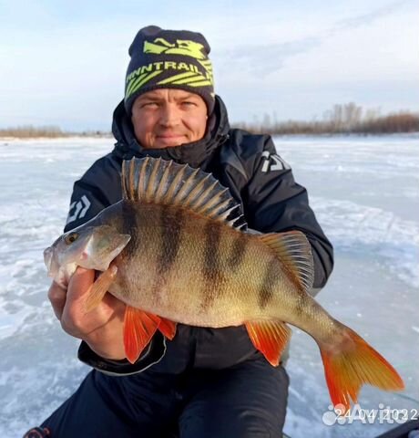 Рыбалка. Рыбалка с гидом
