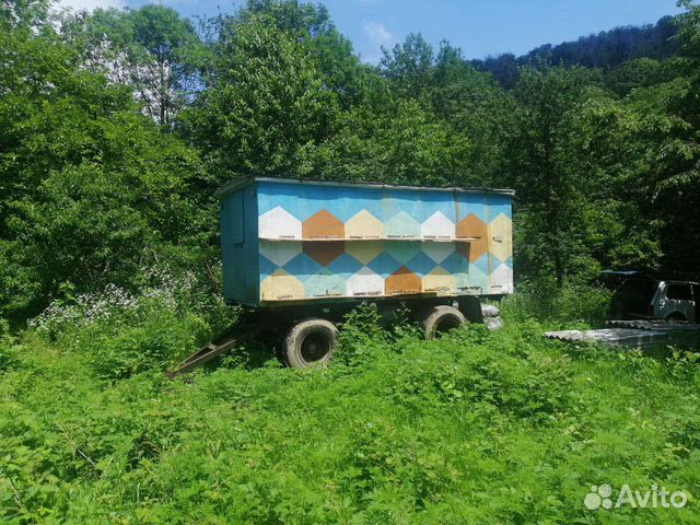 Прицеп, пчелоприцеп, пчелопавильон, пчела