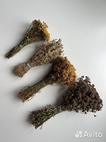 Лечебные травы и плоды