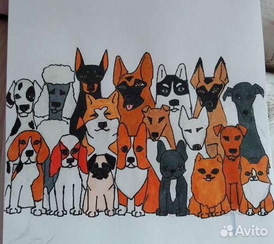 Дрессировка собак