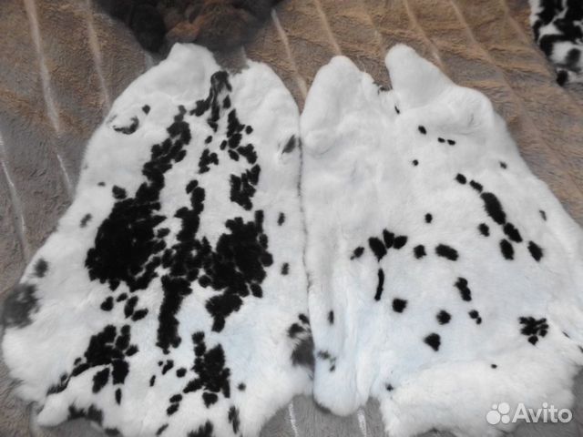 Мех кролика рекс