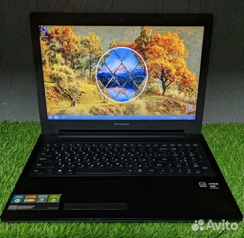 Ноутбук Lenovo G505s (20255)