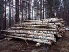 Лес на дрова объявление продам
