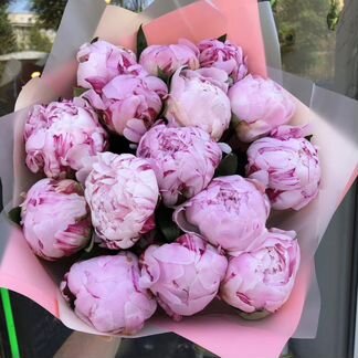 Букет пионов, Пионы 9 15 21