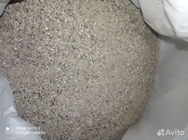 Рожь отсев зерноотход