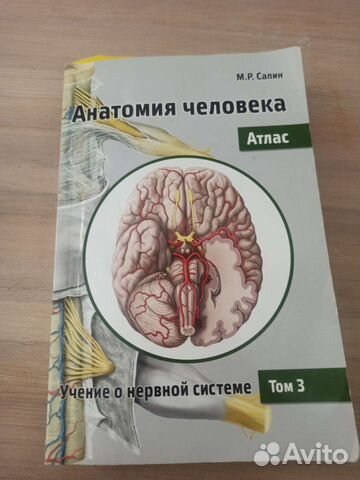 Атлас по анатомии Сапин М.Р в Москве, цена 350 руб. | Объявления о ...