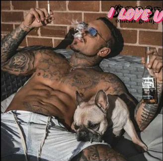 Гостиница для комнатных собак