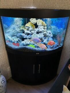 Аквариум угловой juwel trigon 190 л LED