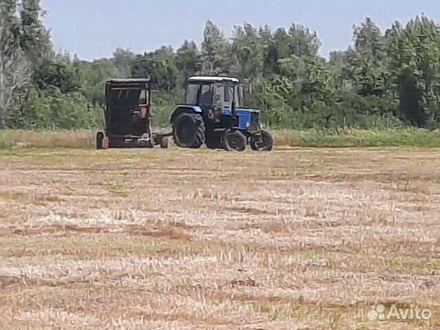 Луговое сено разнотравие и доставка