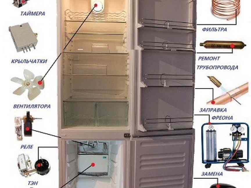 Проблемы холодильником индезит. Холодильник Индезит двухкамерный ноу Фрост. Запчасти для холодильника Индезит. Холодильник Индезит двухкамерный расположение полок. Холодильник Индезит двухкамерный ноу Фрост комплектующие.