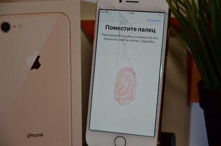 iPhone 8 64Gb Рст Оригинал