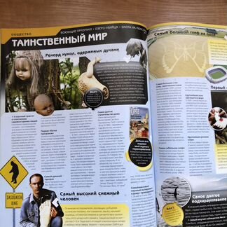 Книга рекордов Гинесса 2013