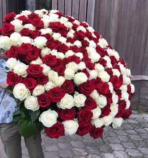 301 роза