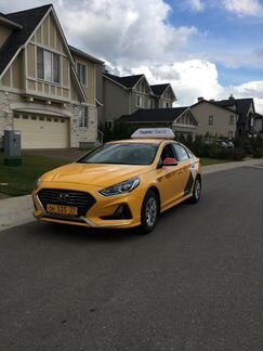 Водитель такси Hyundai Sonata