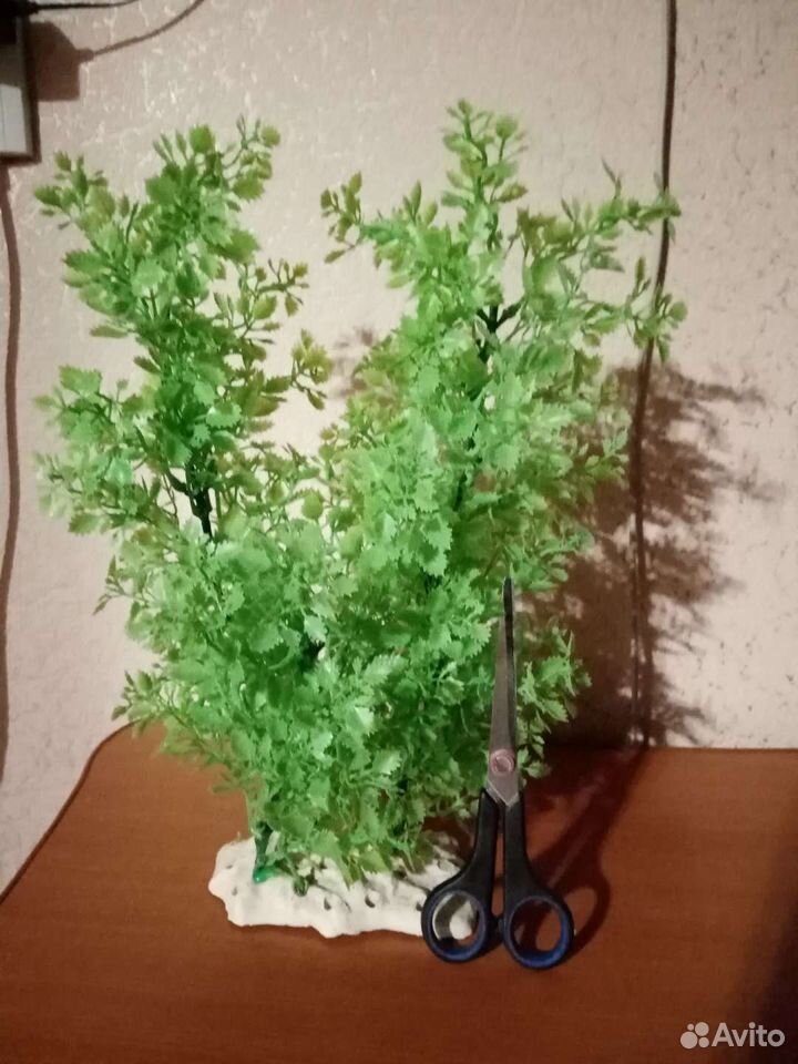 Водоросли для аквариума, искуственные