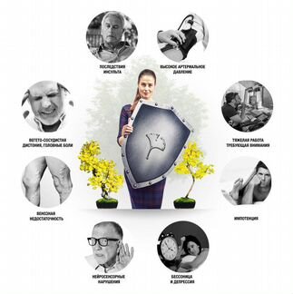 Полиэкстракт Гинкго Билоба