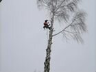 Удаление, спил деревьев, измельчитель веток Ростов объявление продам