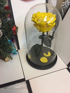 Роза в колбе оптовые закупки