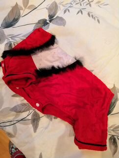 Одежда для собаки