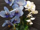Реалистичная имитация живой орхидеи