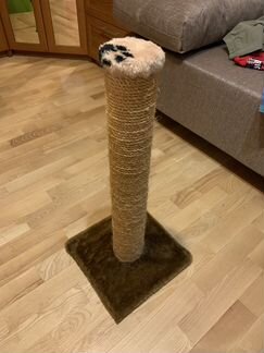 Когтеточка для котов