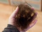 Продам клок волос выпавший после мытья