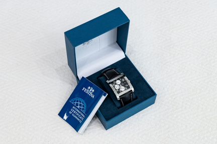 Мужские часы Festina F16235/6