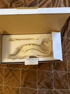 Икорница с ложкой