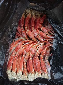 Конечности Краба стригуна