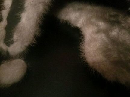 Женская шапка с норкой