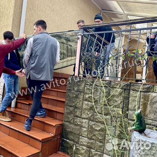 Грузоперевозки