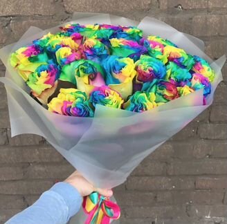 Цветные розы