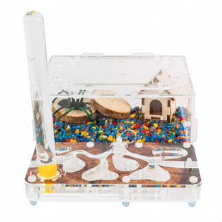 Муравьиная ферма с муравьями